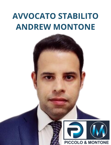 avvocato stabilito